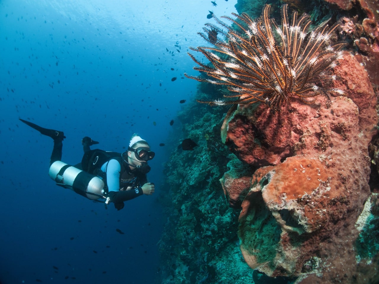 Exploring the Benefits of Sidemount Diving at Siladen
