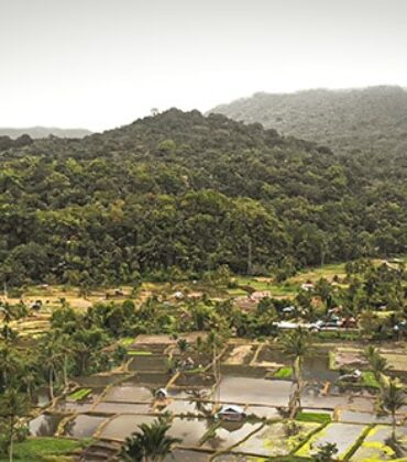 Experience Minahasa