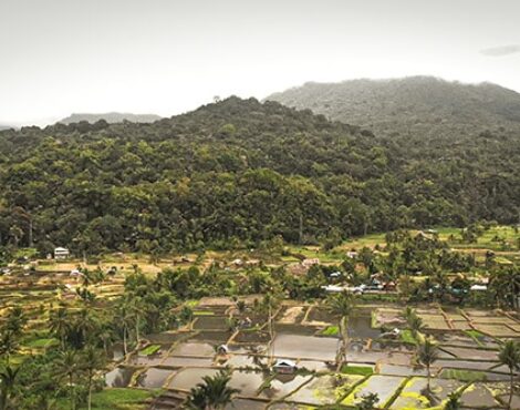 Experience Minahasa