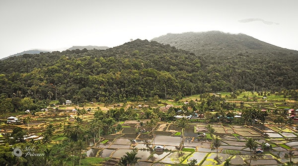 Experience Minahasa