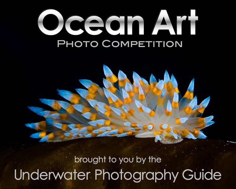 Ocean Art 2018