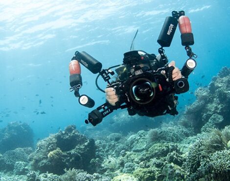 The impact of underwater photography