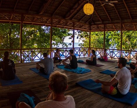 Yoga in the Treehouse
