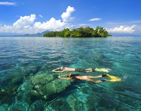 Snorkelling in Bunaken Marine Park