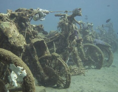 Muck diving tips