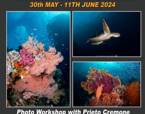 Photo Workshop with Pietro Cremone