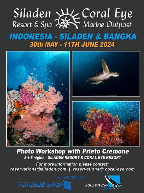 Photo Workshop with Pietro Cremone