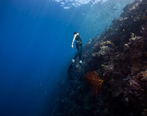 Discover the world of freediving in our Resort: an underwater adventure in Siladen