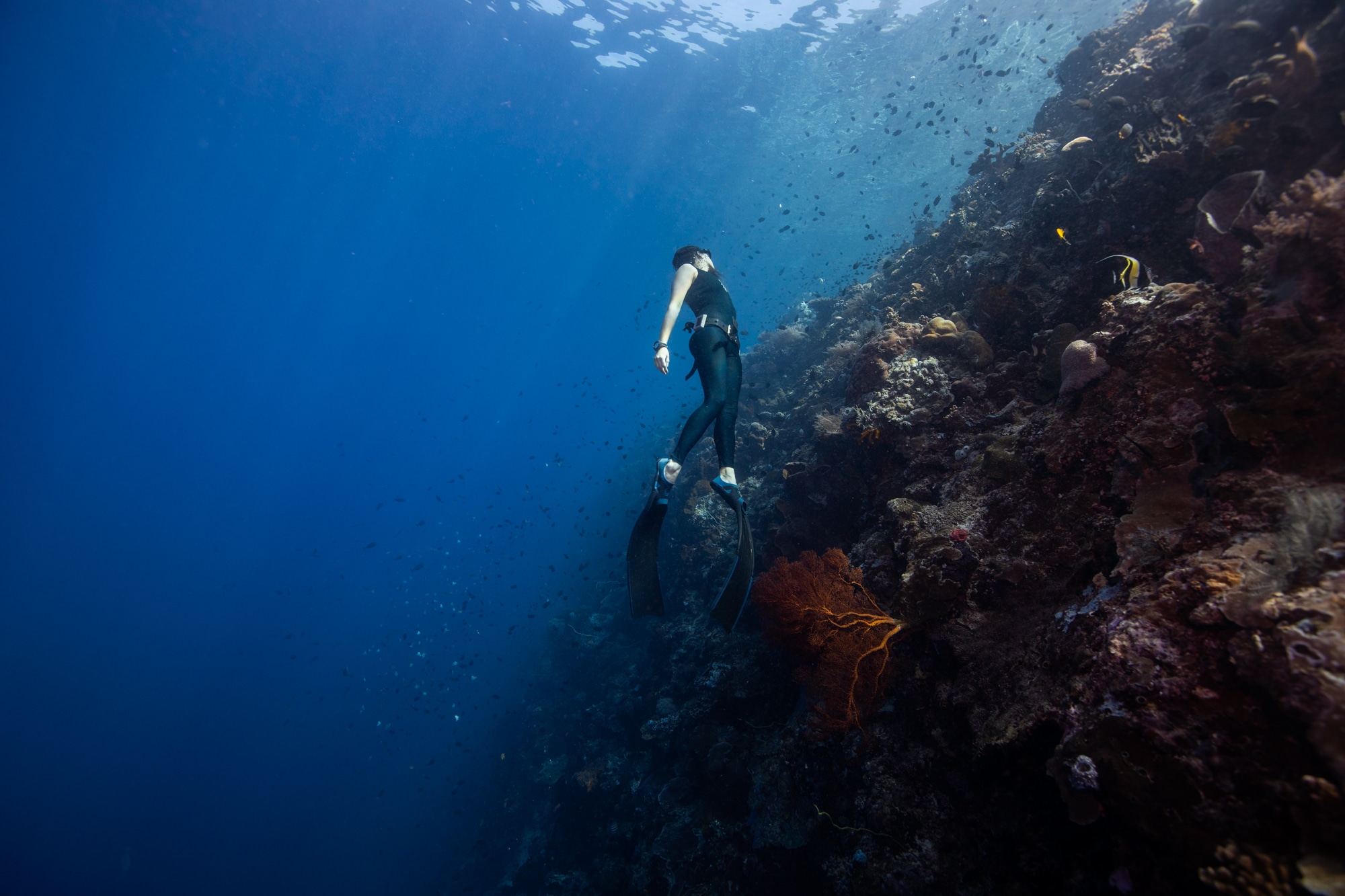 Discover the world of freediving in our Resort: an underwater adventure in Siladen