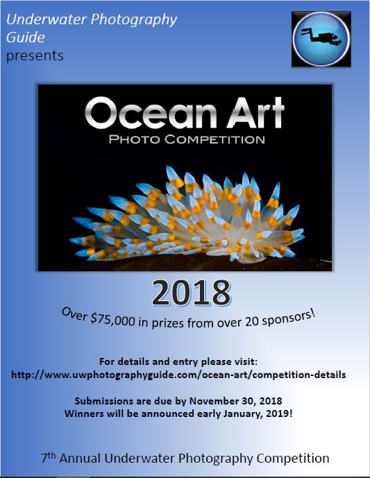 Ocean Art logo
