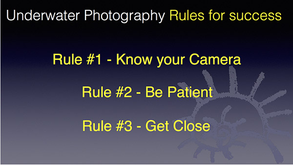 Sialden UW Photography rules