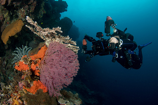 Underwater photography