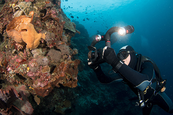 Underwater photography