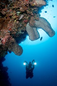 Underwater photography