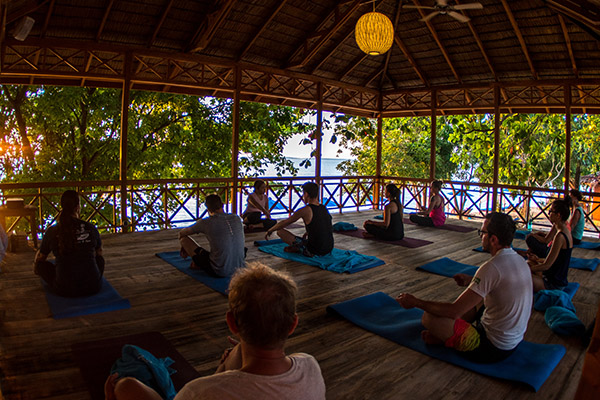 Treehouse yoga