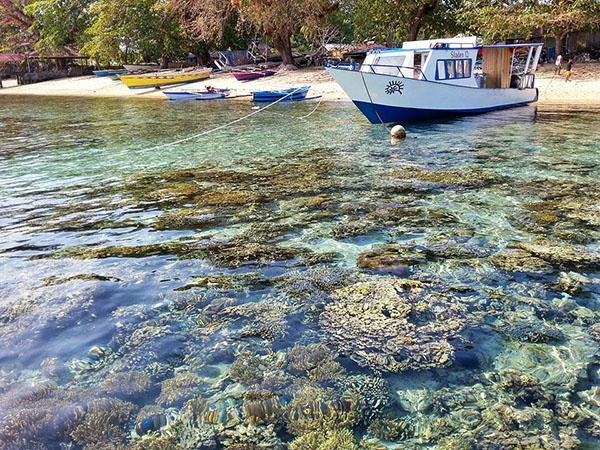 World Oceans Day