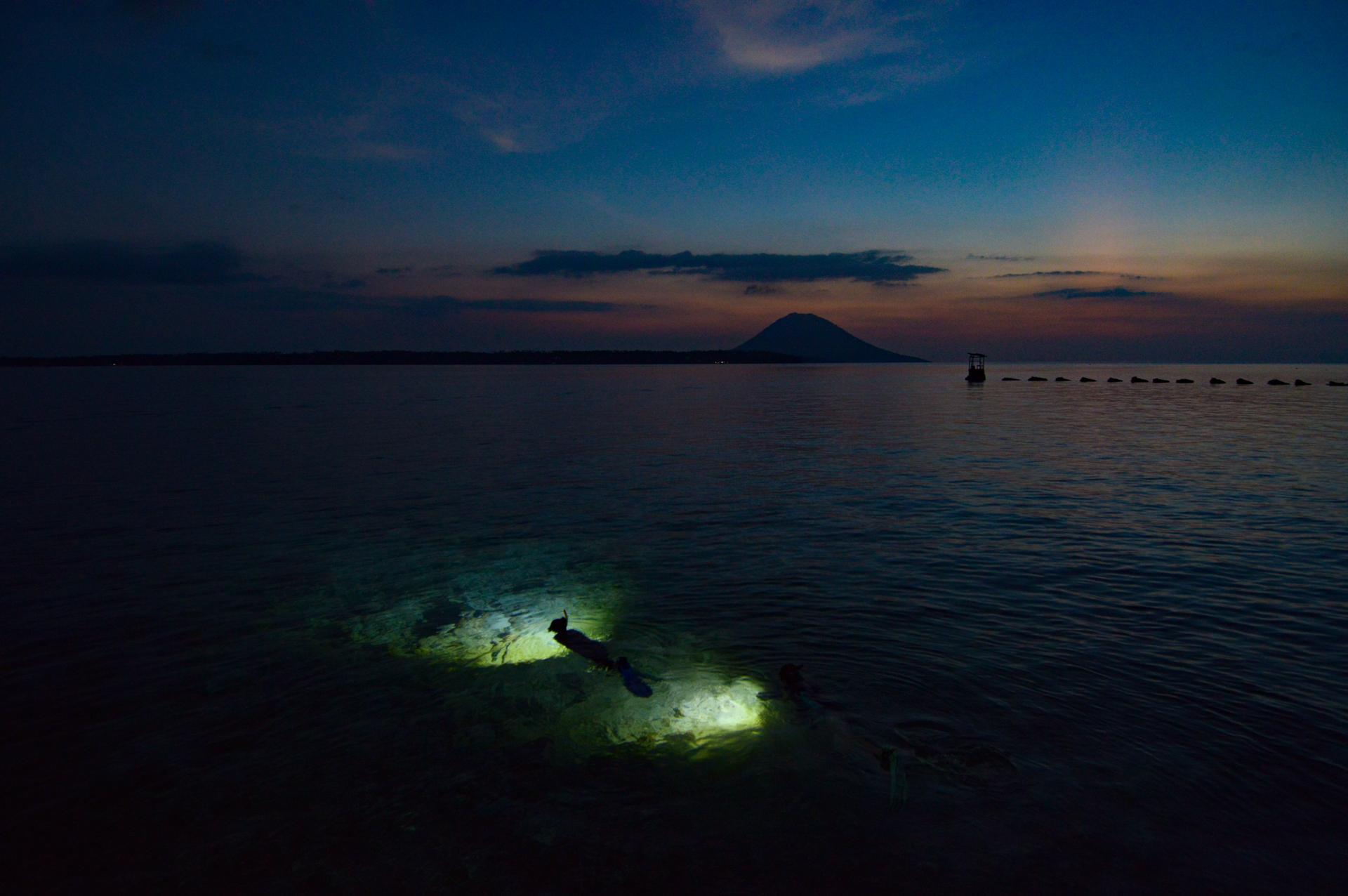 Night Snorkelling