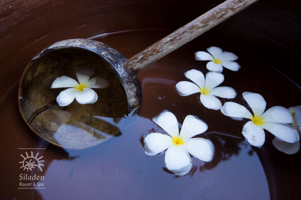 siladen_flowers in water