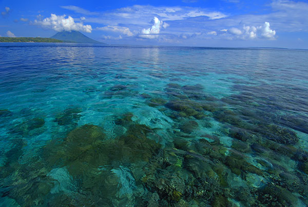 World Oceans Day