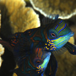 uw_macro_217